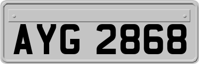 AYG2868
