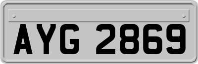 AYG2869
