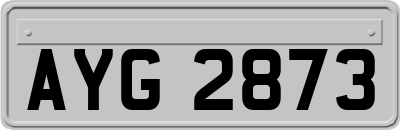 AYG2873