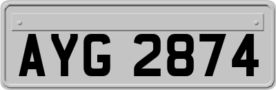 AYG2874