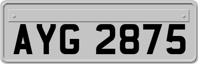 AYG2875