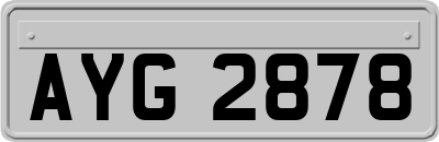 AYG2878