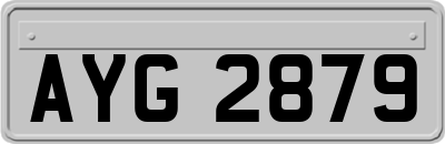 AYG2879