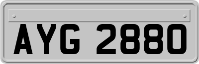 AYG2880