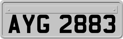 AYG2883