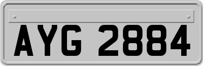 AYG2884