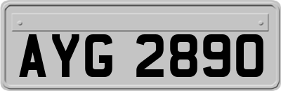 AYG2890