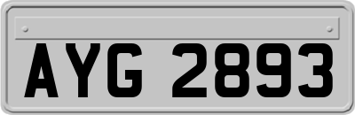 AYG2893