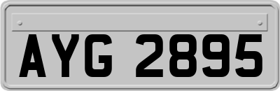 AYG2895