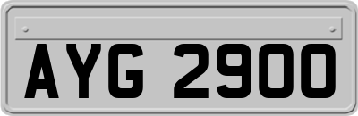 AYG2900