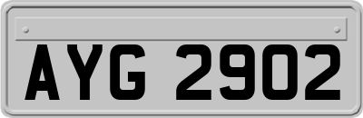 AYG2902