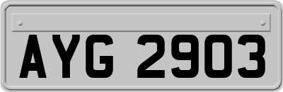 AYG2903