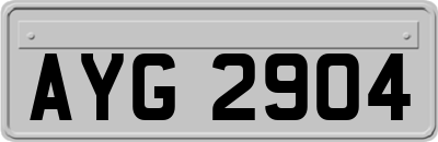 AYG2904