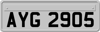 AYG2905