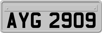 AYG2909