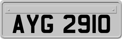 AYG2910