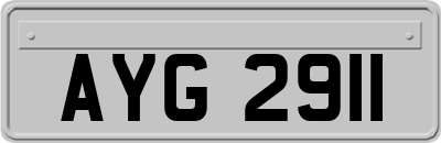 AYG2911