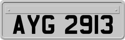 AYG2913