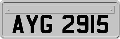AYG2915