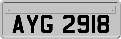 AYG2918