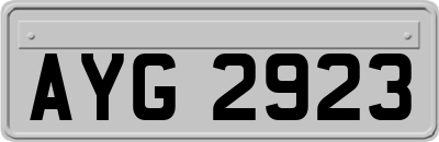 AYG2923