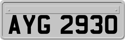 AYG2930