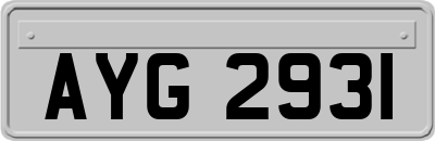 AYG2931