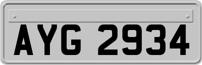 AYG2934