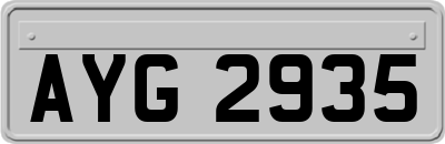 AYG2935