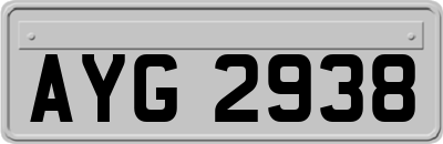 AYG2938