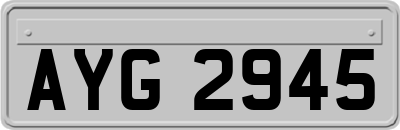 AYG2945