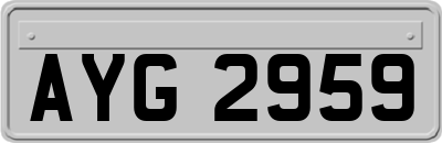 AYG2959