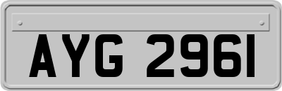 AYG2961