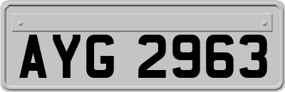 AYG2963