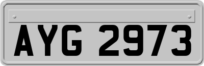 AYG2973