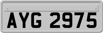 AYG2975