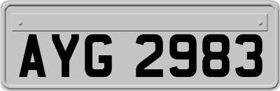 AYG2983