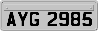 AYG2985