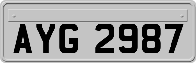 AYG2987