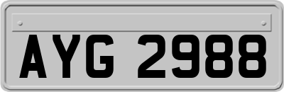 AYG2988
