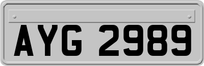 AYG2989
