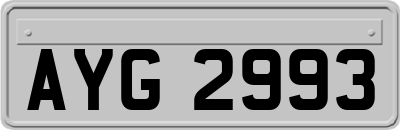 AYG2993