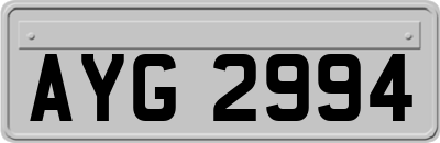 AYG2994