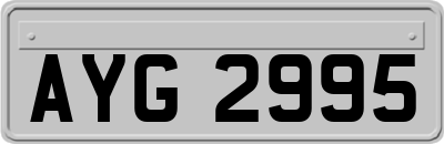 AYG2995