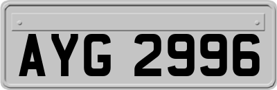 AYG2996