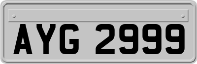 AYG2999