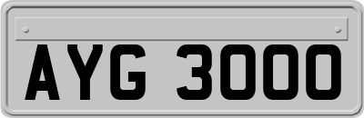 AYG3000