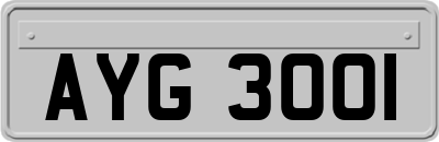 AYG3001