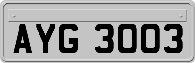 AYG3003