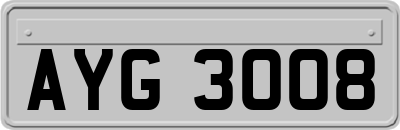 AYG3008